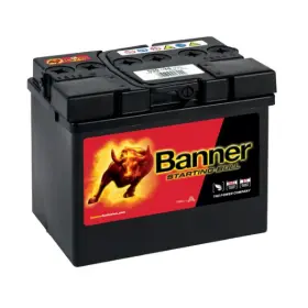 Banner Starting Bull 12V 30Ah 300A 53034